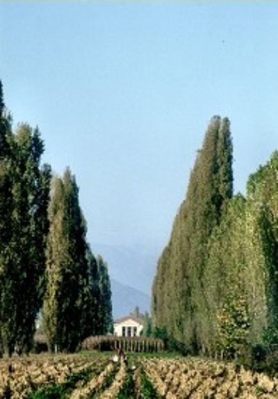 Fanzolo Villa Emo